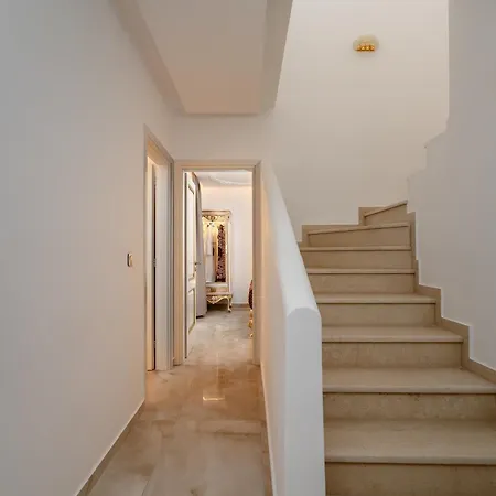 فيلة Naxos Aristocratic Galanado